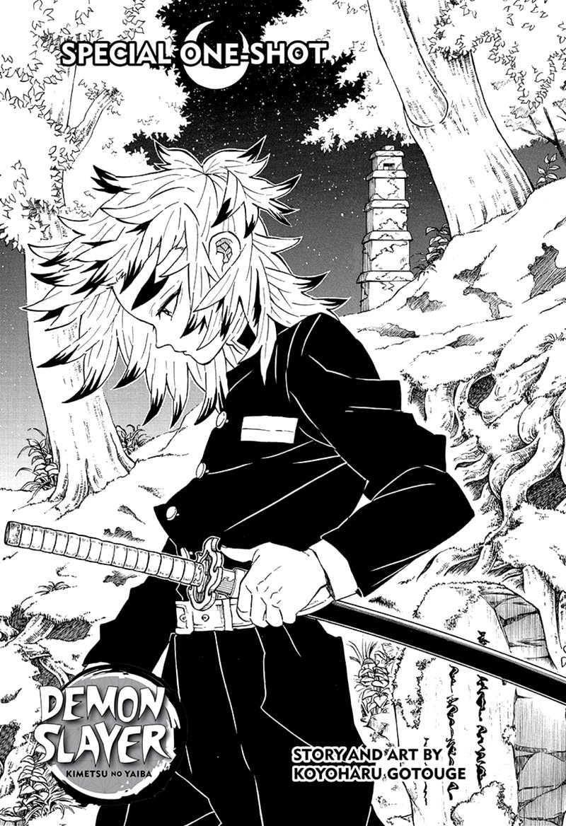 Demon Slayer Manga Chapter 206