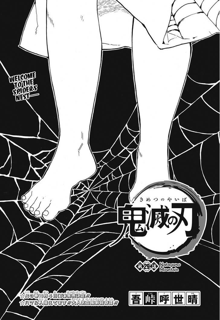 Demon Slayer Manga Chapter 29